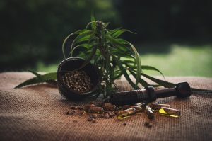 CBD : pourquoi acheter en ligne ?