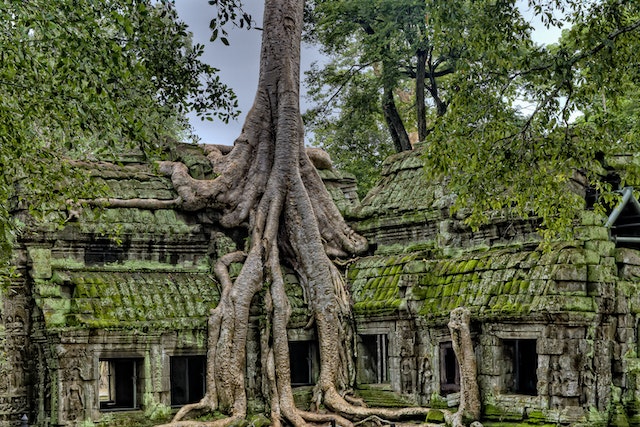 cambodge