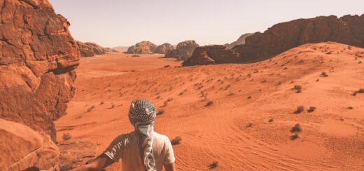 survie dans le désert