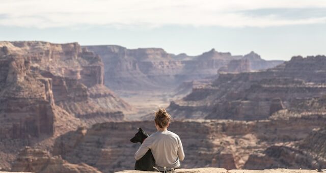 Voyager avec un animal de compagnie