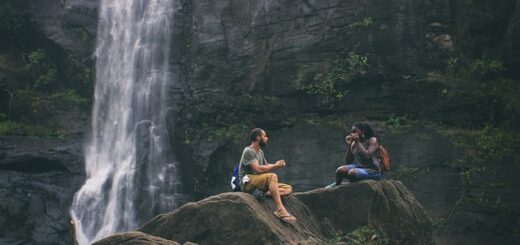 Excursions d'une journée