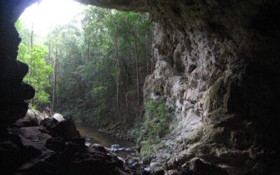 les grottes Rio Frio